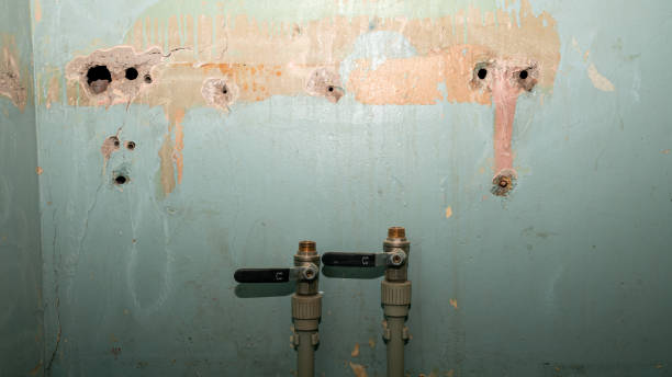 Best Water damage restoration specialists  in Williamstown, WV