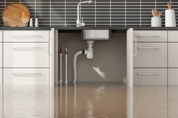 Best Water damage restoration near me  in Williamstown, WV